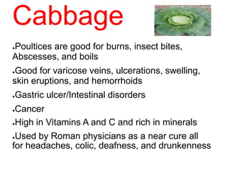 Cabbage
●Poultices are good for burns, insect bites,
Abscesses, and boils
●Good for varicose veins, ulcerations, swelling,
skin eruptions, and hemorrhoids
●Gastric ulcer/Intestinal disorders
●Cancer
●High in Vitamins A and C and rich in minerals
●Used by Roman physicians as a near cure all
for headaches, colic, deafness, and drunkenness
 