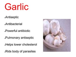Garlic
●Antiseptic
●Antibacterial
●Powerful antibiotic
●Pulmonary antiseptic
●Helps lower cholesterol
●Rids body of parasites
 