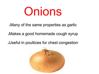 Onions
●Many of the same properties as garlic
●Makes a good homemade cough syrup
●Useful in poultices for chest congestion
 