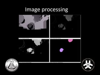 Image processing 
 