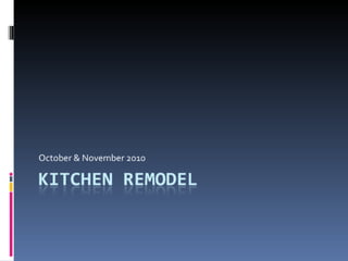 Kitchen Remodel 2010