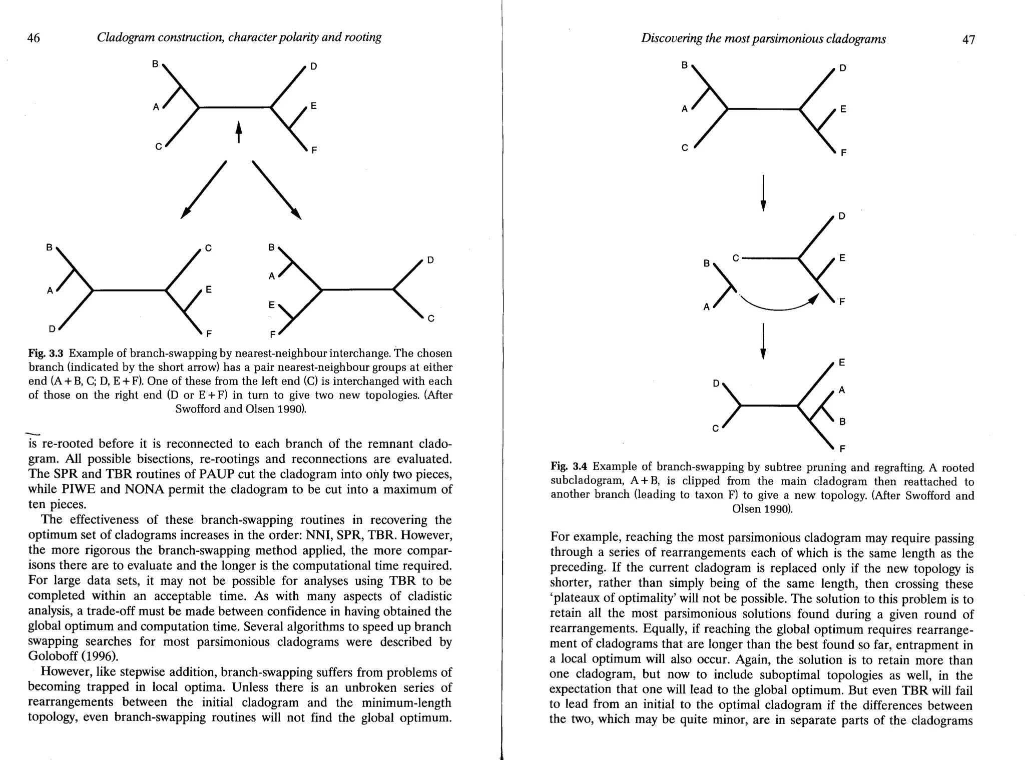 Kitching_et_al_1998_Cap3_38-69.pdf