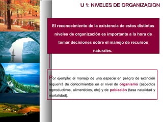 U 1: NIVELES DE ORGANIZACION
U 1: NIVELES DE ORGANIZACION
El reconocimiento de la existencia de estos distintos
niveles de organización es importante a la hora de
tomar decisiones sobre el manejo de recursos
naturales.
Por ejemplo: el manejo de una especie en peligro de extinción
requerirá de conocimientos en el nivel de organismo (aspectos
reproductivos, alimenticios, etc) y de población (tasa natalidad y
mortalidad).
 