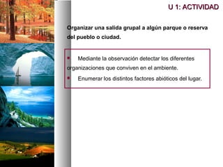 Organizar una salida grupal a algún parque o reserva
del pueblo o ciudad.
 Mediante la observación detectar los diferentes
organizaciones que conviven en el ambiente.
 Enumerar los distintos factores abióticos del lugar.
U 1: ACTIVIDAD
U 1: ACTIVIDAD
 