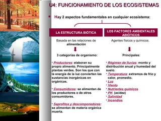  Hay 2 aspectos fundamentales en cualquier ecosistema:
LOS FACTORES AMBIENTALES
ABIÓTICOS
LA ESTRUCTURA BIÓTICA
3 categorías de organismo:
 Productores: elaboran su
propio alimento. Principalmente
plantas verdes. Son los que con
la energía de la luz convierten las
sustancias inorgánicas en
orgánicas.
 Consumidores: se alimentan de
los productores o de otros
consumidores.
 Saprofitos y descomponedores:
se alimentan de materia orgánica
muerta.
Basada en las relaciones de
alimentación
Principales:
 Régimen de lluvias: monto y
distribución anual y humedad del
suelo.
 Temperatura: extremos de frio y
calor, promedio.
 Luz
 Viento
 Nutrientes químicos
 PH (acidez)
 Salinidad
 Incendios
Agentes físicos y químicos.
U4: FUNCIONAMIENTO DE LOS ECOSISTEMAS
U4: FUNCIONAMIENTO DE LOS ECOSISTEMAS
 