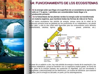 En el mismo ecosistema hay pérdida de energía, porque cerca de la mitad de la
producción primaria bruta es gastada por los productores en su metabolismo y se pierde
como calor, y sólo la otra mitad está disponible para los consumidores como alimento
(carbohidratos, celulosa, lignina, grasas, proteínas, etc.).
Al pasar de un eslabón a otro, hay más pérdida de energía a través de la respiración y los
procesos metabólicos, porque el mantener vivo un organismo implica gastar, en forma de
calor, parte de la energía captada; las sustancias no digeribles, que son excretadas o
regurgitadas y descompuestas por los detritívoros; y la muerte de individuos, que ocasiona
pérdidas, pero la energía es devuelta, en parte, por los desintegradores.
 De la energía solar que llega a la superficie de un ecosistema se aprovecha
sólo un 1 % aprox.  pérdidas son considerables hasta llegar a la
producción primaria.
 En la fotosíntesis de las plantas verdes la energía solar es transformada
en materia orgánica, que mantiene todas las formas de vida en la Tierra.
U4: FUNCIONAMIENTO DE LOS ECOSISTEMAS
U4: FUNCIONAMIENTO DE LOS ECOSISTEMAS
 