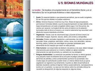  La tundra  Se localiza circumpolarmente en el Hemisferio Norte y en el
Hemisferio Sur en la penísula Antártica e islas adyacentes.
 Suelo: Es especial debido a que presenta permafrost, que es suelo congelado.
Es tan fría que los árboles no pueden sobrevivir.
 Clima: Veranos frescos e inviernos muy fríos. Áreas de baja precipitación,
permanecen húmedas debido a que la evapotranspiración es baja (debido a las
bajas temperaturas) y el suelo congelado retiene agua. Con frecuencia, los
vientos son severos. La longitud del día varía al máximo con la estación:
iluminados todo el día en el verano y en invierno solamente hay oscuridad; esto
afecta de manera importante a la biota. .
 Vegetación: Tiende a ser de crecimiento bajo y durante el breve verano se
desarrollan musgos, líquenes, sauces, abeto, pino enano y campanillas.
 Animales: Existen animales migratorios y permanentes, los más comunes son:
oso polar, focas, pingüinos, lobo ártico, zorros, renos, toro almizclero, ratones,
lemming, patos y cisnes.Las aves llegan en grandes cantidades para
alimentarse de los insectos que nacen en este período.
 Vida humana: Los esquimales se dedican a la pesca y a la caza, deben trabajar
intensamente para sobrevivir en invierno, habitan en iglúes cubiertos
internamente con piel de animal y su vestuario es muy abrigador.
 Peligros Ambientales: La extracción de petróleo ha tenido un efecto general
muy pequeño sobre el ambiente de la zona pero el peligro potencial de
derrames de petróleo y otros contaminantes químicos ha aumentado. Aún
niveles bajos de perturbación pueden tener un intenso efecto local ya que la
vegetación se regenera muy lentamente. Cuando se altera el permafrost el
deshielo resultante cambia el régimen hídrico sustancialmente, reemplazando la
tundra con un pantano. La caza por los nativos sobre los animales árticos ha
causado la desaparición de algunas especies en algunas áreas.
U 5: BIOMAS MUNDIALES
U 5: BIOMAS MUNDIALES
 
