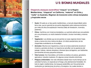  Chaparral y bosques esclerófilos“maquis” en la Región
Mediterránea, “chaparral” en California, “matorral” en Chile y
“malle” en Australia. Régimen de transición entre climas templados
y tropicales secos.
.
 Suelo: El suelo es un tipo pardo mediterráneo, a menudo desarrollado sobre
terra rosa, que en general se encuentra degradado sobre extensos territorios
por miles de años de explotación intensiva (falta de forestación, incendios,
pastoreo)
 Clima: marítimos con inviernos templados y un período estival seco encuadrado
por una primavera y un otoño bastante húmedos. Lluvias invernales y veranos
secos.
 Vegetación: Los árboles que se encuentran en esas regiones tienen hojas
duras y menos de cinco metros de altura. Un árbol característico de los
chaparrales australianos es el eucalipto.
 Animales: Muchos son migratorios y viven en el área solamente durante el
invierno y períodos de lluvia. La mayoría se camuflan con la apariencia del
paisaje. Liebres, ratones silvestres y diversos tipos de lagartos, son habitantes
permanentes de esos pequeños bosques.
 Vida humana: Son favorables y el hombre se dedica a la pesca, ganadería,
agricultura, industria maderera. En algunas zonas industria vitivinícola.
 Peligros ambientales :han sido afectados desde hace mucho tiempo por la
actividad humana, en especial por el fuego y las plantaciones forestales. En
todo la región mediterránea, los bosques esclerófilos son frecuentemente
sustituidos por plantaciones de pinos y Eucalyptus, los cuales tienden a
U 5: BIOMAS MUNDIALES
U 5: BIOMAS MUNDIALES
 