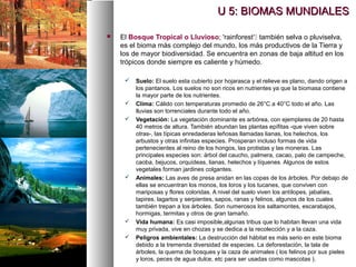  El Bosque Tropical o Lluvioso; 'rainforest‘ también selva o pluviselva,
es el bioma más complejo del mundo, los más productivos de la Tierra y
los de mayor biodiversidad. Se encuentra en zonas de baja altitud en los
trópicos donde siempre es caliente y húmedo.
 Suelo: El suelo esta cubierto por hojarasca y el relieve es plano, dando origen a
los pantanos. Los suelos no son ricos en nutrientes ya que la biomasa contiene
la mayor parte de los nutrientes.
 Clima: Cálido con temperaturas promedio de 26°C a 40°C todo el año. Las
lluvias son torrenciales durante todo el año.
 Vegetación: La vegetación dominante es arbórea, con ejemplares de 20 hasta
40 metros de altura. También abundan las plantas epífitas -que viven sobre
otras-, las típicas enredaderas leñosas llamadas lianas, los helechos, los
arbustos y otras infinitas especies. Prosperan incluso formas de vida
pertenecientes al reino de los hongos, las protistas y las moneras. Las
principales especies son: árbol del caucho, palmera, cacao, palo de campeche,
caoba, bejucos, orquídeas, lianas, helechos y líquenes. Algunos de estos
vegetales forman jardines colgantes.
 Animales: Las aves de presa anidan en las copas de los árboles. Por debajo de
ellas se encuentran los monos, los loros y los tucanes, que conviven con
mariposas y flores coloridas. A nivel del suelo viven los antílopes, jabalíes,
tapires, lagartos y serpientes, sapos, ranas y felinos, algunos de los cuales
también trepan a los árboles. Son numerosos los saltamontes, escarabajos,
hormigas, termitas y otros de gran tamaño.
 Vida humana: Es casi imposible,algunas tribus que lo habitan llevan una vida
muy privada, vive en chozas y se dedica a la recolección y a la caza.
 Peligros ambientales: La destrucción del hábitat es más serio en este bioma
debido a la tremenda diversidad de especies. La deforestación, la tala de
árboles, la quema de bosques y la caza de animales ( los felinos por sus pieles
y loros, peces de agua dulce, etc para ser usadas como mascotas ).
U 5: BIOMAS MUNDIALES
U 5: BIOMAS MUNDIALES
 