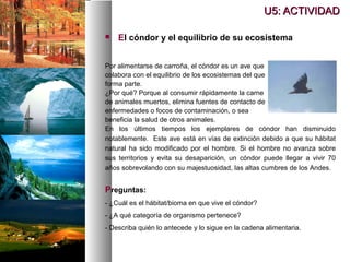 U5: ACTIVIDAD
U5: ACTIVIDAD
 El cóndor y el equilibrio de su ecosistema
Por alimentarse de carroña, el cóndor es un ave que
colabora con el equilibrio de los ecosistemas del que
forma parte.
¿Por qué? Porque al consumir rápidamente la carne
de animales muertos, elimina fuentes de contacto de
enfermedades o focos de contaminación, o sea
beneficia la salud de otros animales.
Preguntas:
- ¿Cuál es el hábitat/bioma en que vive el cóndor?
- ¿A qué categoría de organismo pertenece?
- Describa quién lo antecede y lo sigue en la cadena alimentaria.
En los últimos tiempos los ejemplares de cóndor han disminuido
notablemente. Este ave está en vías de extinción debido a que su hábitat
natural ha sido modificado por el hombre. Si el hombre no avanza sobre
sus territorios y evita su desaparición, un cóndor puede llegar a vivir 70
años sobrevolando con su majestuosidad, las altas cumbres de los Andes.
 