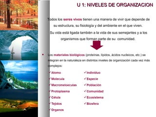 U 1: NIVELES DE ORGANIZACION
U 1: NIVELES DE ORGANIZACION
Todos los seres vivos tienen una manera de vivir que depende de
su estructura, su fisiología y del ambiente en el que viven.
Su vida está ligada también a la vida de sus semejantes y a los
organismos que forman parte de su comunidad.
 Los materiales biológicos (proteínas, lípidos, ácidos nucleicos, etc.) se
integran en la naturaleza en distintos niveles de organización cada vez más
complejos:
 