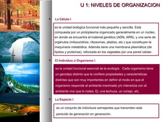  El Individuo ú Organismo 
es la unidad biológica funcional más pequeña y sencilla. Está
compuesta por un protoplasma organizado generalmente en un núcleo,
en donde se encuentra el material genético (ADN, ARN), y una serie de
orgánulos (mitocondrios, ribosomas, plastos, etc.) que constituyen la
maquinaria metabólica. Además tiene una membrana plasmática (de
lípidos y proteínas), reforzada en los vegetales por una pared celular.
U 1: NIVELES DE ORGANIZACION
U 1: NIVELES DE ORGANIZACION
es la unidad funcional esencial de la ecología .
. Cada organismo tiene
un genotipo distinto que le confiere propiedades y características
distintas que son muy importantes en definir el modo en que el
organismo responde al ambiente inanimado y/o interactúa con el
ambiente vivo que lo rodea. Ej: una lechuza, un conejo, etc.
 La Especie 
 La Célula 
es un conjunto de individuos semejantes que transmiten este
parecido de generación en generación.
 