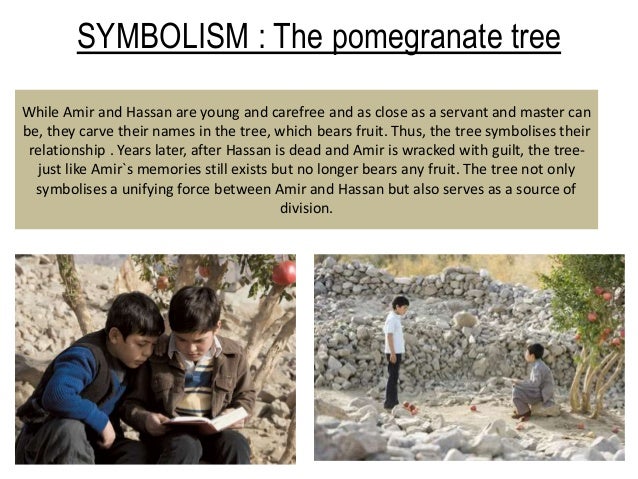the kite runner pomegranate tree with page numbers the kite runner pomegranate tree with page numbers