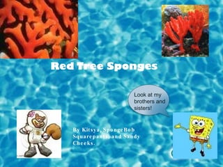 Look at my brothers and sisters! By Kitsya, SpongeBob Squarepants, and Sandy  Cheeks. 