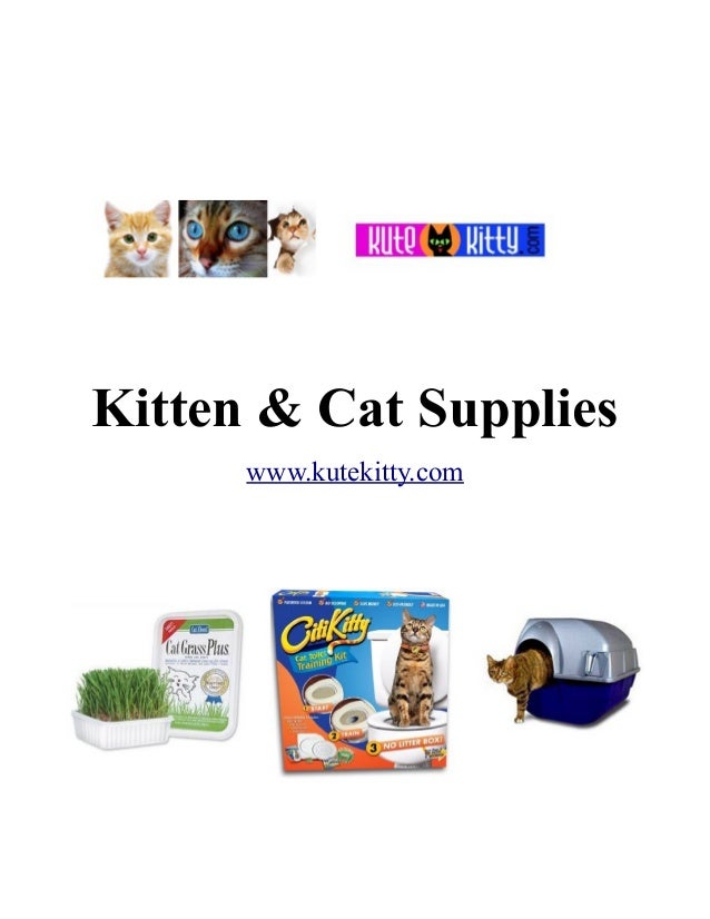 Kitten & Cat Supplies