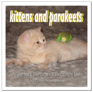 Kittens And Parakeets
