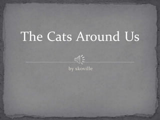 The Cats Around Us

       by skoville
 