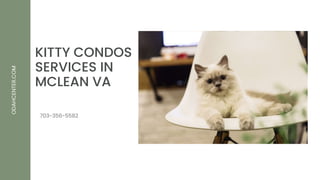 KITTY CONDOS
SERVICES IN
MCLEAN VA
ODAHCENTER.COM
703-356-5582
 
