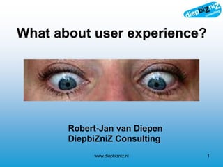 What about user experience?
www.diepbizniz.nl 1
Robert-Jan van Diepen
DiepbiZniZ Consulting
 