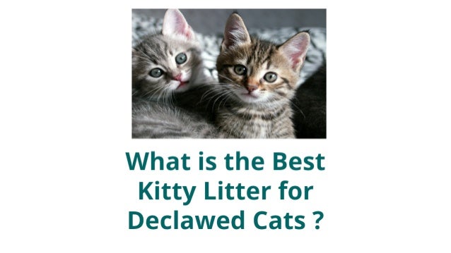 best cat litter for declawed cats