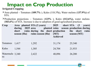 Impact on Crop Production
Irrigated Cropping
Area planted – Tomatoes (109.7% ), Kales (118.3%), Water melons (137.9%) of
STA.
Production projections – Tomatoes (123% ), Kales (112.6%), water melons
(183.6%) of STA. Increase is due to adoption of good agricultural practices.
Crop Area planted
during 2025
short rains
season (Ha)
STA (3 years)
area planted
during the short
rains season (Ha)
2025 short
rains season
production
(MT)
Achieved
STA (3 years)
production during
the short rains
season (MT)
Tomatoes 1,417 1,292 31,174 25,340
Kales 1,544 1,305 24,704 21,933
Watermelo
ns
3,340 2,422 48,096 26,200
 