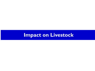 Impact on Livestock
 