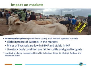 Impact on markets
• No market disruptions reported in the county as all markets operated normally
• Slight increase of livestock in the markets
• Prices of livestock are low in MMF and stable in MF
• Livestock body condition are fair for cattle and good for goats
• Livestock are being transported form North-Eastern Kenya to Mwingi, Tseikuru and
Mutha for trade
K
i
s
a
s
i
M
a
r
k
e
t
 
