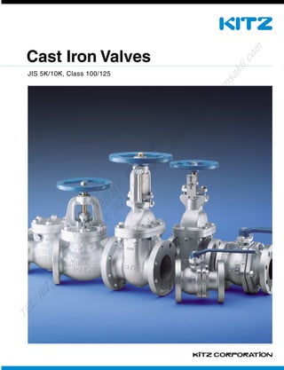 Cast Iron Valves | PDF