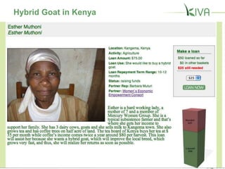 Butcher in Afghanistan
 