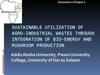 Addis Ababa University, Pwani University College, University of Dar es Salaam Consortium 4-Project 4 