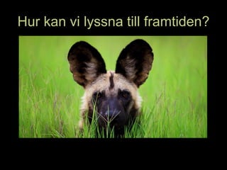 Hur kan vi lyssna till framtiden?
 