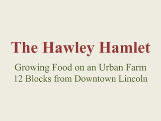 The Hawley Hamlet
Growing Food on an Urban Farm
12 Blocks from Downtown Lincoln
 