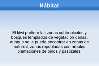 Hábitat
El kiwi prefiere las zonas subtropicales y
bosques templados de vegetación densa,
aunque se le puede encontrar en zonas de
matorral, zonas repobladas con árboles,
plantaciones de pinos y pastizales.
 
