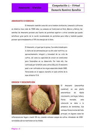  
Amaranto - Kiwicha
Computación 1 - Virtual
Damaris Ramirez Sarabia
 
AMARANTO O KIWICHA 
El Amaranto también conocido con el nombre de Kiwicha, comenzó a cultivarse
en América hace más de 7000 años, su consumo es tradicional en Perú, México y Bolivia, las
semillas de Amaranto proveen una fuente de proteínas superior a otros cereales que puede
satisfacer gran parte de la ración recomendada de proteínas para niños y también pueden
proveer aproximadamente el 70% de energía de la dieta.
El Amaranto, al igual que la quinua, fue seleccionado para
la dieta de los astronautas por su alto valor nutritivo, su
aprovechamiento integral y brevedad de su ciclo de
cultivo, así como su capacidad de crecer en condiciones
poco favorables en su desarrollo. Por todo ello, fue
calificada por la NASA como cultivo CELLSS. El amaranto
pasó a ser cultivada en los viajes espaciales desde 1985,
floreciendo en el espacio durante el vuelo orbital de la
nave Atlantis 71 B.
ORIGEN Y DESCRIPCIÓN 
El Amaranto (amaranthus
caudatus), es una planta
amarantácea de rápido
crecimiento, con hojas, tallos y
flores moradas, esta
coloración se debe a la
presencia de betalainas, Sus
vistosas flores brotan del tallo
principal, en algunos casos las
inflorescencias llegan a medir 90 cm, creando vistosos campos de cultivo. Alrededor de 1200
variedades aún se mantienen en los Andes.
Página ­ 2 
 