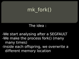mk_fork()


               The idea :

-We start analysing after a SEGFAULT
-We make the process fork() (many
  many times)
-Inside each offspring, we overwrite a
  different memory location
 