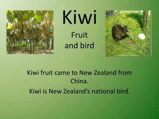 KiwiFruitand bird Kiwi fruit came to New Zealand from China. Kiwi is New Zealand’s national bird.  