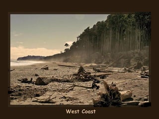 West Coast
 