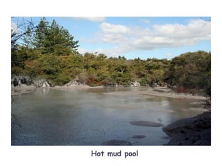 Hot mud pool
 