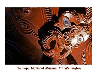 Te Papa National Museum Of Wellington
 
