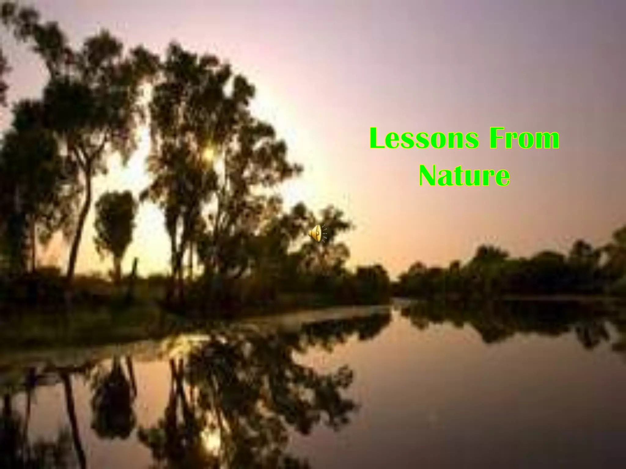 Natural Lesson Lessons from Nature | PPSX