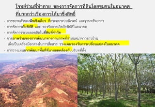 โจทยรวมที่ทาทาย ของการจัดการที่ดินโดยชุมชนในอนาคต
       ที่มากกวาเรื่องการไดมาซึ่งสิทธิ์
- การขยายตัวของพืชเชิงเดี่ยว ที่กระทบระบบนิเวศน และฐานทรัพยากร
- การจัดการภัยพิบัติ และ รองรับการเกิดภัยพิบัตในอนาคต
                                              ิ
- การจัดการระบบผลผลิตในที่ดินที่จํากัด
- ขาดภาพรวมของการพฒนาทางกายภาพทกาหนดมาจากชาวบาน
                       ั                ่ี ํ
  เพื่อเปนเครืองมือกลางในการสื่อสาร วางแผนรองรับการเปลี่ยนแปลงในอนาคต
               ่
- การวางแผนการพัฒนาพื้นที่ที่มาสอดคลองกับบริบทที่ตั้ง
 