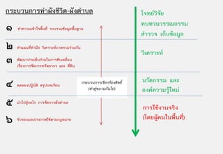กระบวนการทําผังชีวิต-ผังตําบล                                           โจทยวิจัย
๑   ทําความเขาใจพื้นที่ รวบรวมขอมูลพื้นฐาน
                                                                        ทบทวนวรรณกรรม
                                                                        สํารวจ เก็บขอมูล
๒   ทําแผนที่ทํามือ วิเคราะหภาพรวมรวมกัน
                                                                        วิเคราะห
๓   พัฒนาประเด็นรวมในการขับเคลื่อน
    เรื่องการจัดการทรัพยากร และ ที่ดิน


๔   ทดลองปฏิบัติ สรุปบทเรียน
                                             กระบวนการเรียกรองสิทธิ์
                                                (ทําคูขนานกันไป)
                                                                        นวัตกรรม และ
                                                                        องคความรูใหม
๕   นําไปสูกลไก การจัดการผังตําบล
                                                                        การใชงานจริง
๖   รับรองและประกาศใชตามกฎหมาย                                         (โดยผูคนในพื้นที่)
 