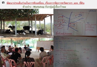 ๓ พัฒนาประเด็นรวมในการขับเคลื่อน เรื่องการจัดการทรัพยากร และ ที่ดิน
                 ตัวอย่าง : Workshop กับกลุ่มผูเลี้ยงวัวนม
                                              ้
 