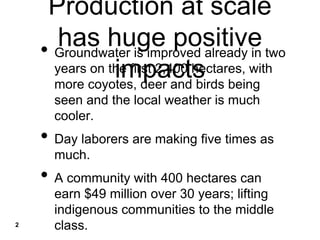 Production at scale
has huge positive
impacts
• Groundwater is improved already in two
years on the first 2,400 hectares, with
more coyotes, deer and birds being
seen and the local weather is much
cooler.
• Day laborers are making five times as
much.
• A community with 400 hectares can
earn $49 million over 30 years; lifting
indigenous communities to the middle
class.2
 