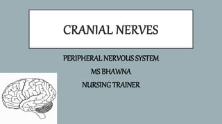 CRANIAL NERVES
PERIPHERAL NERVOUS SYSTEM
MS BHAWNA
NURSING TRAINER
 