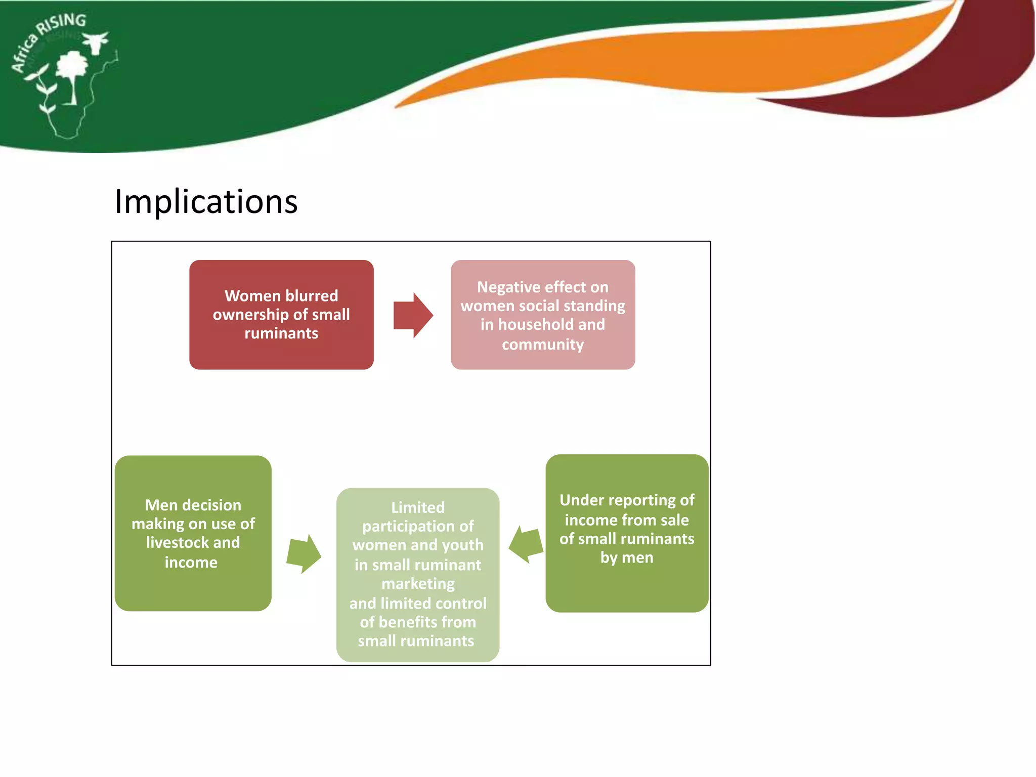 Implications
Men decision
making on use of
livestock and
income
Limited
participation of
women and youth
in small ruminant
marketing
and limited control
of benefits from
small ruminants
Under reporting of
income from sale
of small ruminants
by men
Women blurred
ownership of small
ruminants
Negative effect on
women social standing
in household and
community
 