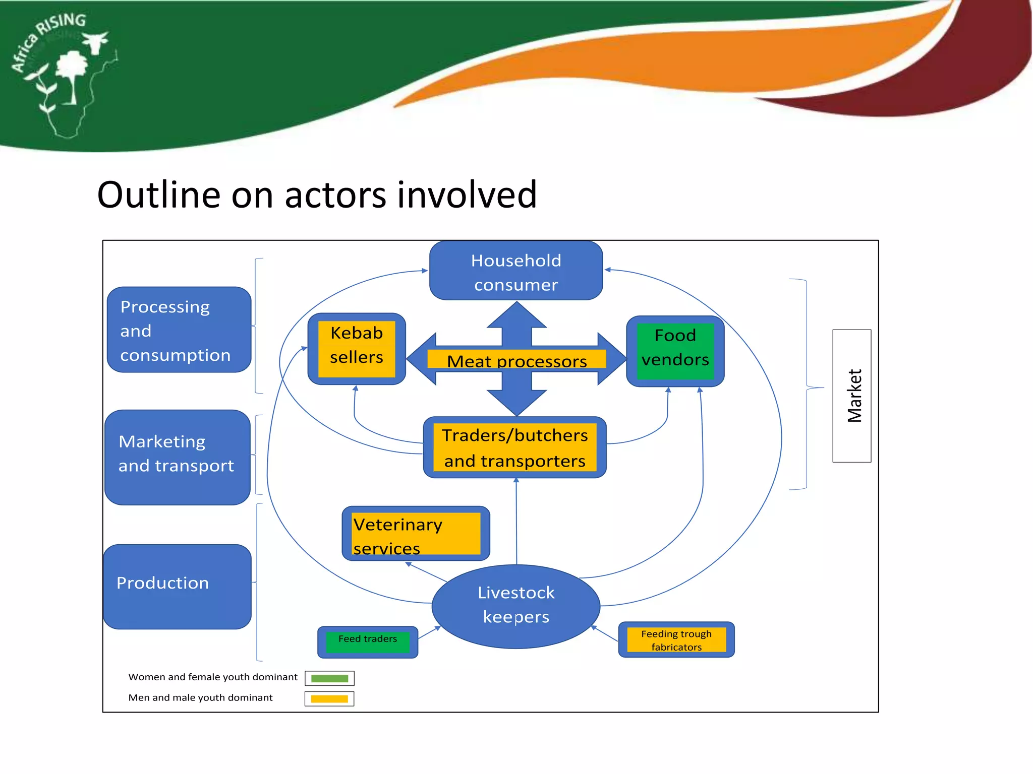 Outline on actors involved
Women and female youth dominant
Men and male youth dominant
Livestock
keepers
Food
vendors
Traders/butchers
and transporters
Kebab
sellers
Veterinary
services
Processing
and
consumption
Marketing
and transport
Household
consumer
Meat processors
Production
Market
Feed traders Feeding trough
fabricators
 