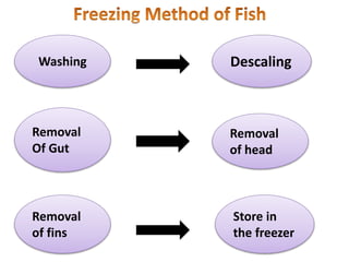 Fish Method Freezing Draw Freezing Method Of Preservation | PPTX