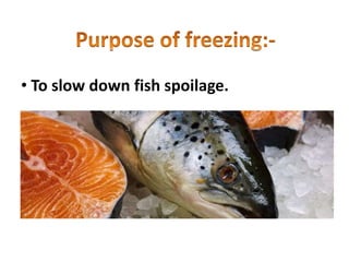 Fish Method Freezing Draw Freezing Method Of Preservation | PPTX