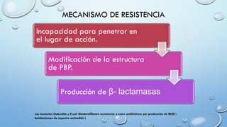 MECANISMO DE RESISTENCIA
Incapacidad para penetrar en
el lugar de acción.
Modificación de la estructura
de PBP.
Producción de β- lactamasas
Las bacterias klebsiella y E.coli desarrollaron resistencia a estos antibióticos por producción de BLEE (
betalactamas de espectro extendido )
 